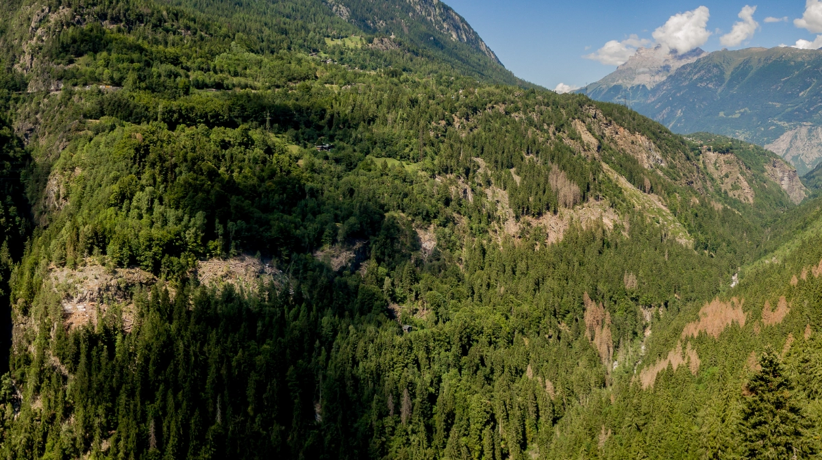 And another picture – this time in extreme landscape format