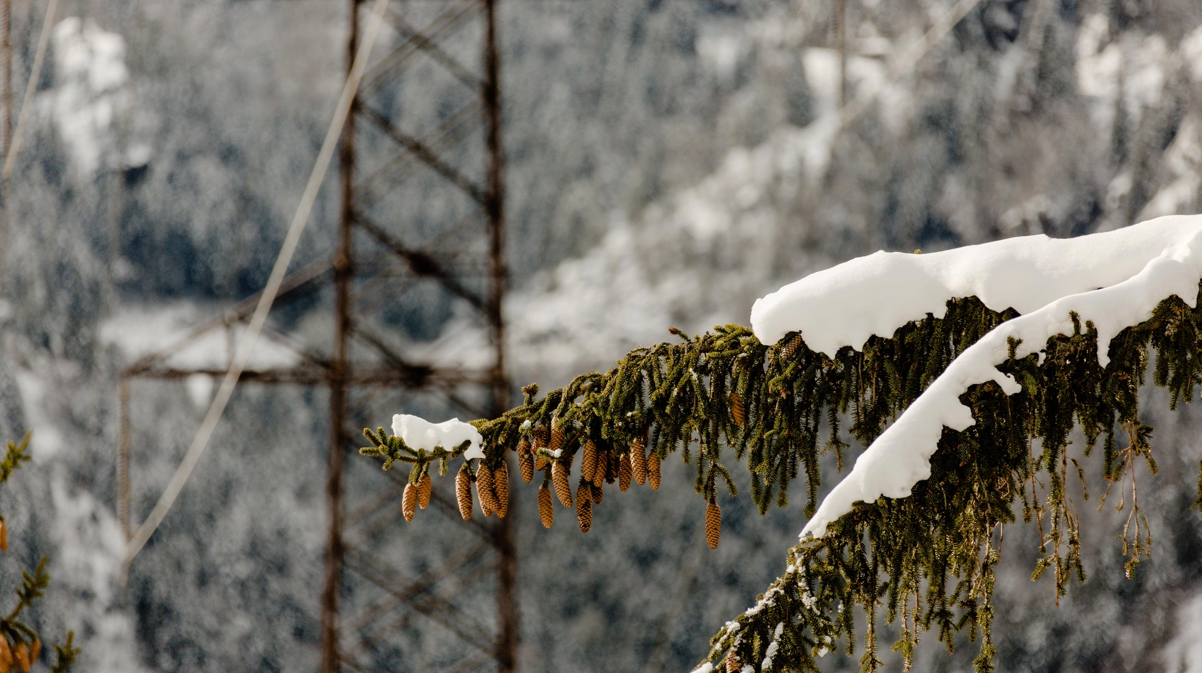 Second image of Stage Gallery